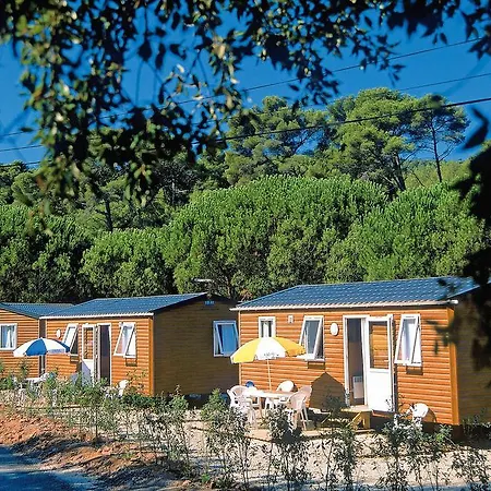 Campsite Domaine Residentiel De Plein Air Odalys La Foret De Janas Six-Fours-les-Plages
